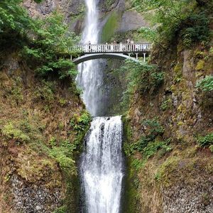 Meet your Posher, Tracie